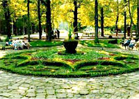 The square