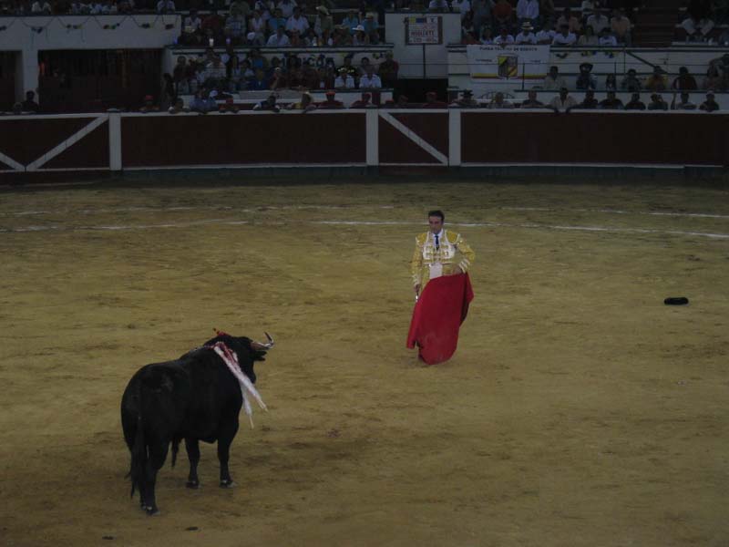 Bull-Fight-035
